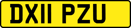 DX11PZU