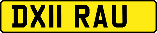 DX11RAU