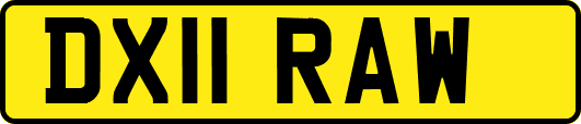 DX11RAW
