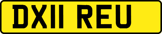 DX11REU
