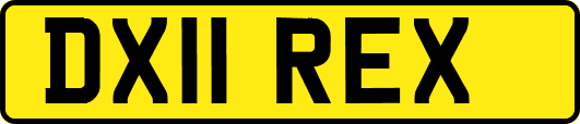 DX11REX