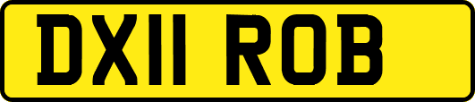 DX11ROB