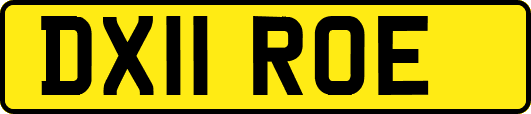 DX11ROE
