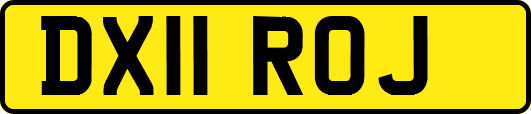 DX11ROJ