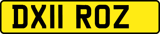 DX11ROZ