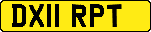 DX11RPT