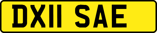 DX11SAE