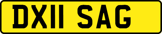 DX11SAG