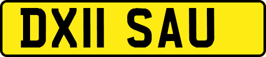 DX11SAU