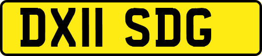DX11SDG