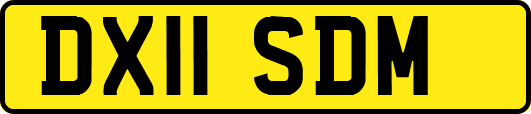 DX11SDM