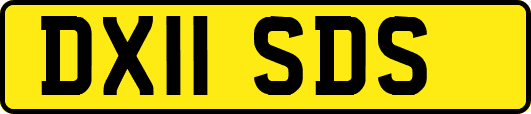 DX11SDS