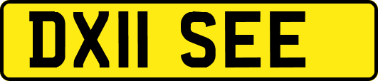 DX11SEE