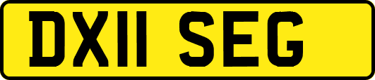 DX11SEG