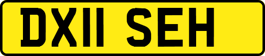 DX11SEH