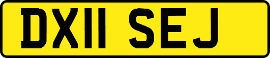DX11SEJ
