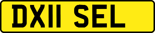 DX11SEL