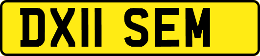 DX11SEM