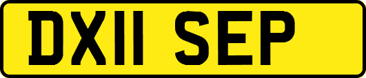 DX11SEP