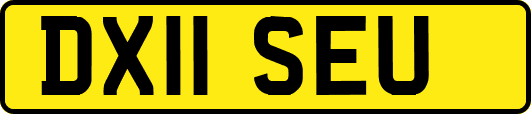 DX11SEU