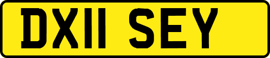 DX11SEY