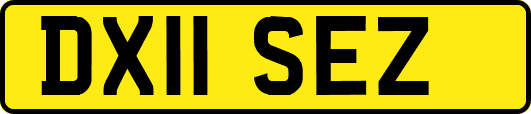 DX11SEZ