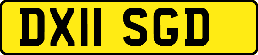 DX11SGD