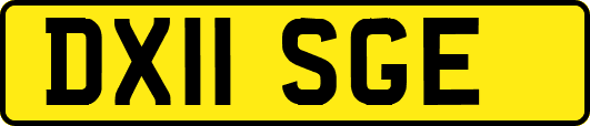 DX11SGE