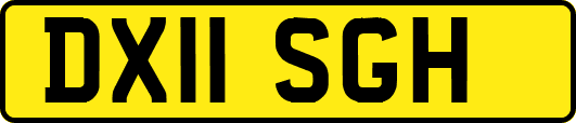 DX11SGH