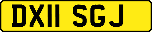 DX11SGJ