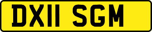 DX11SGM