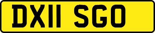 DX11SGO