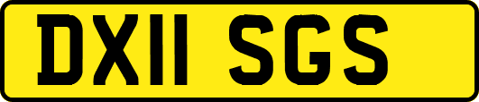 DX11SGS