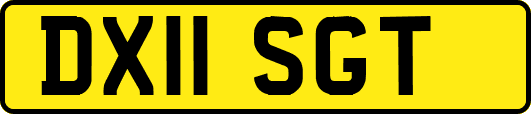 DX11SGT