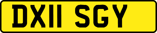 DX11SGY