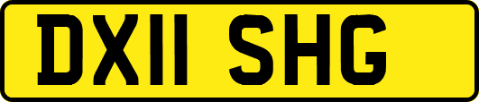 DX11SHG