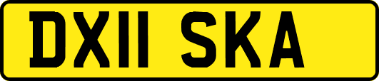 DX11SKA