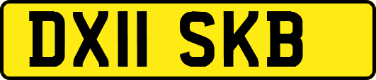 DX11SKB