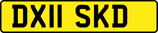 DX11SKD