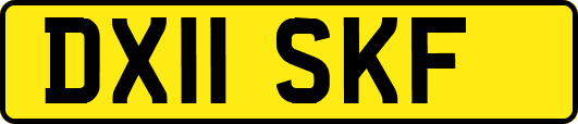 DX11SKF