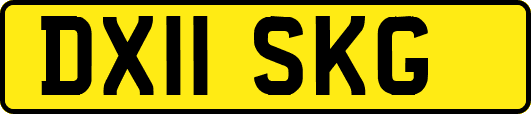 DX11SKG