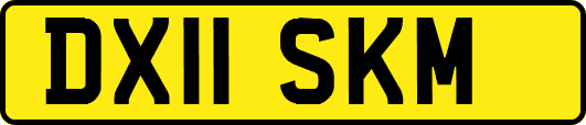 DX11SKM