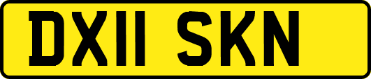 DX11SKN