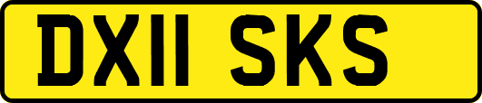 DX11SKS