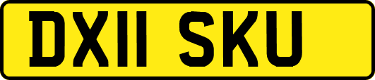 DX11SKU