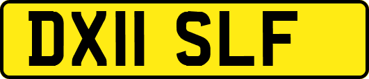 DX11SLF