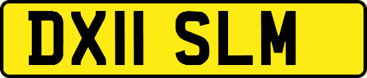 DX11SLM