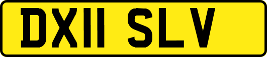 DX11SLV