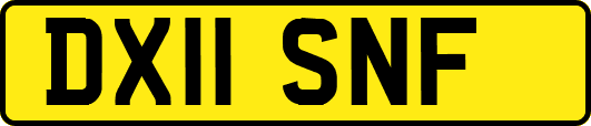 DX11SNF