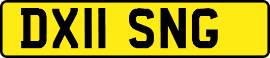 DX11SNG